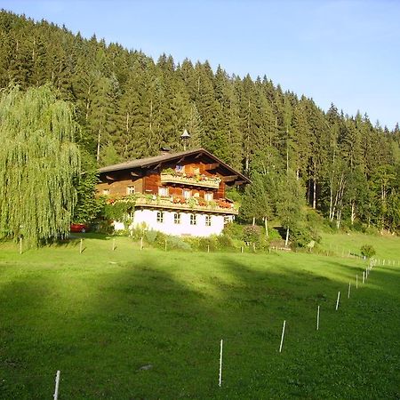 Ellmauhof Villa Pfarrwerfen Kültér fotó