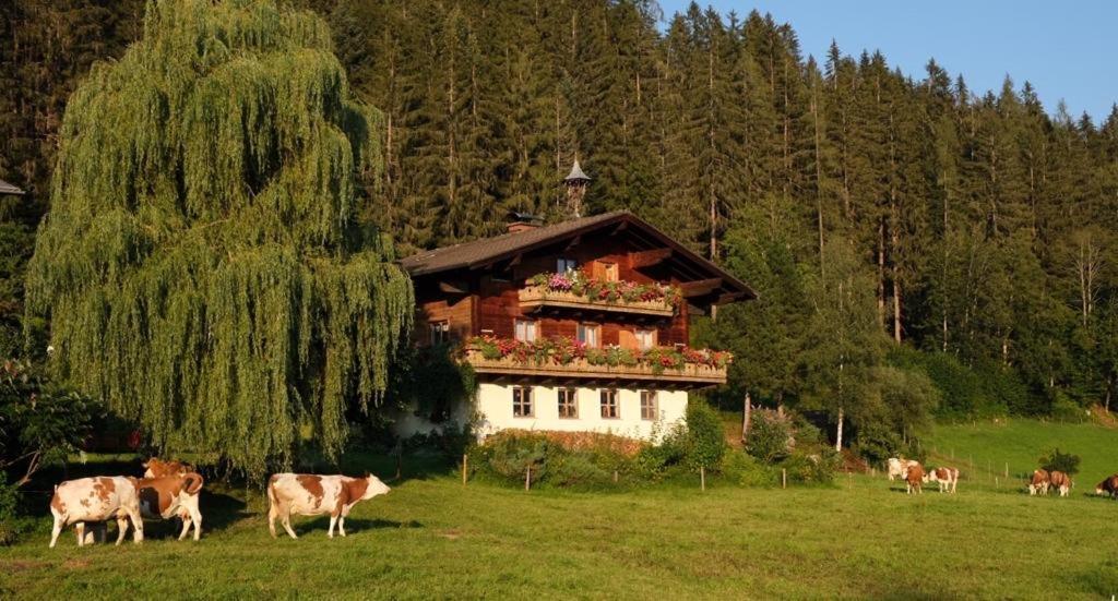 Ellmauhof Villa Pfarrwerfen Kültér fotó