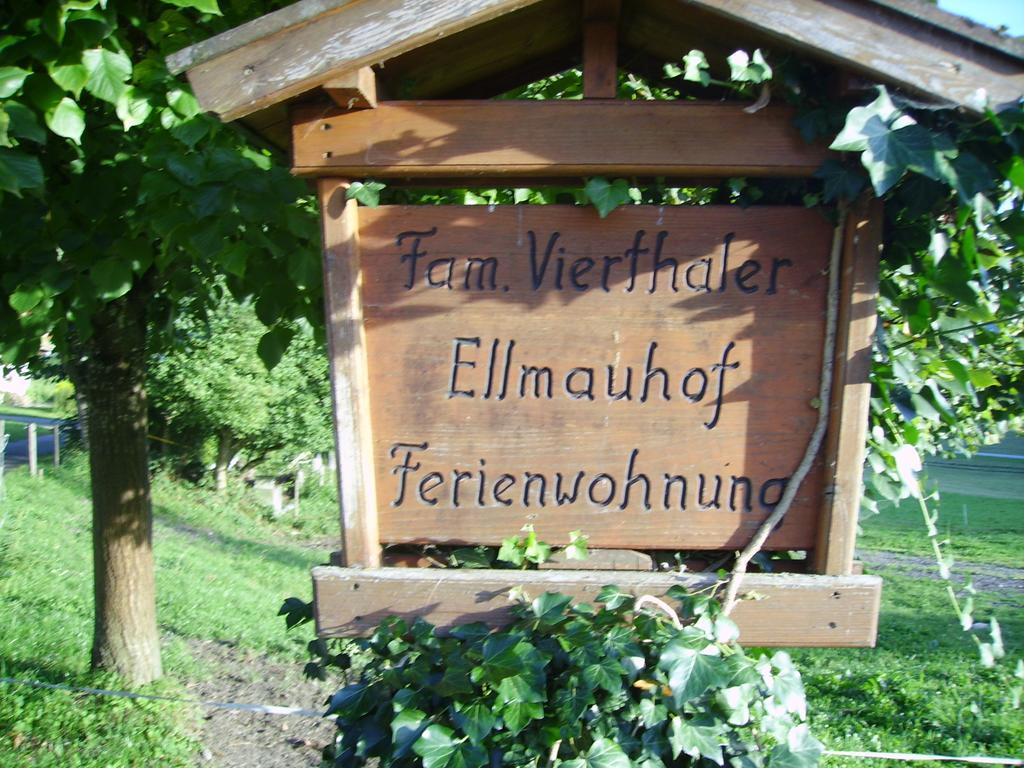Ellmauhof Villa Pfarrwerfen Kültér fotó