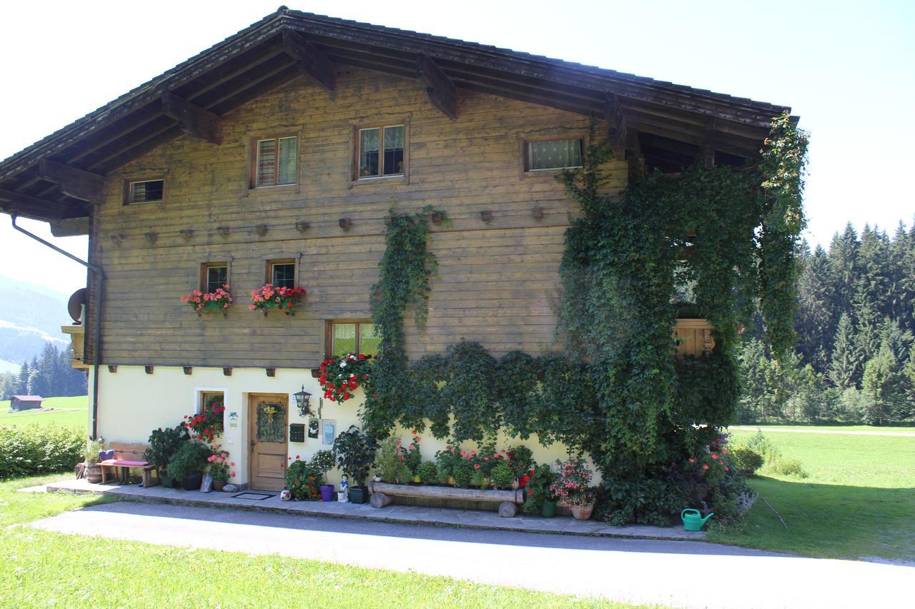Ellmauhof Villa Pfarrwerfen Kültér fotó